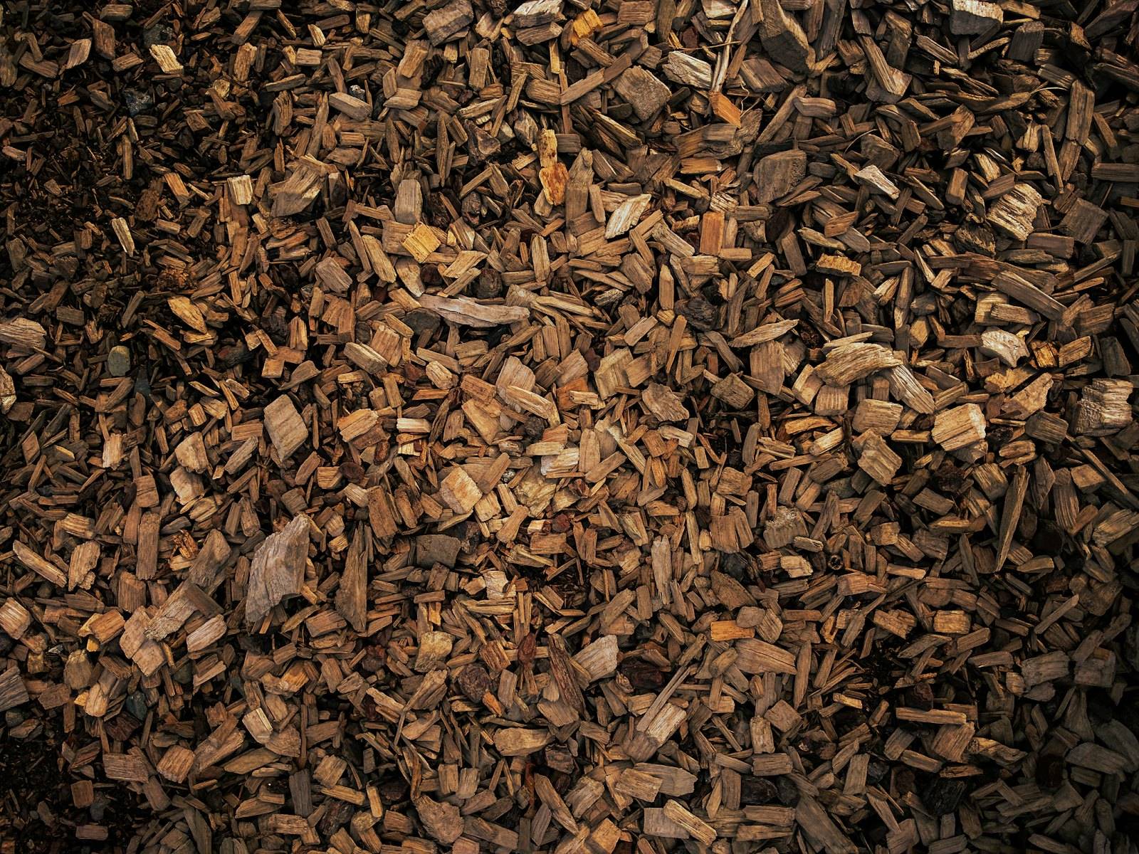 A pile of fresh wood chips from stump grinding