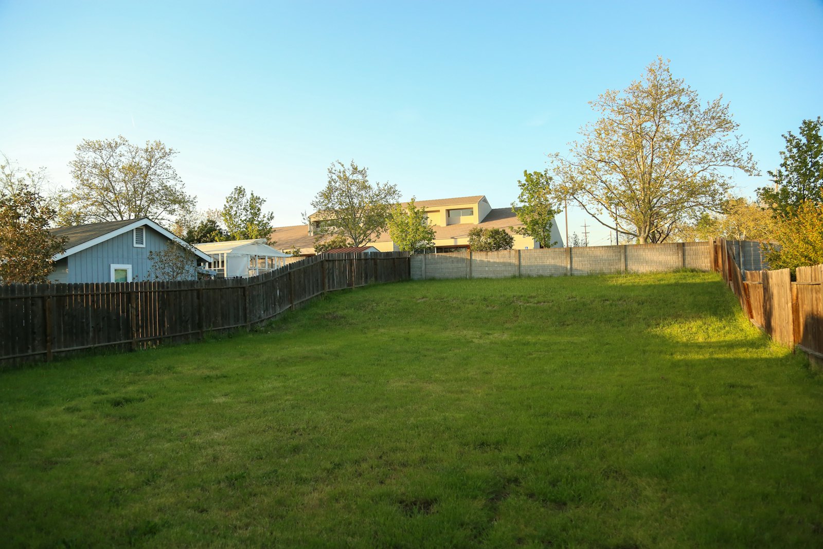 Fenced residential backyard lawn