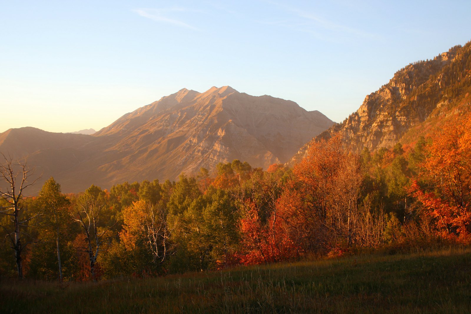 Fall colors on the trees below a Wasatch mountain peak in Utah
